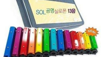놓치면 후회! sol공명실로폰13 솔직 후기 & 꿀팁🍯