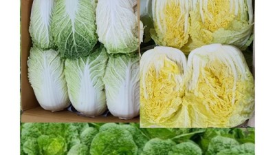 🥬 놓치면 손해! 쌈배추1kg 솔직 후기 & 꿀팁 대방출 💖