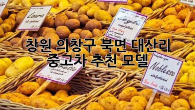 창원 의창구 북면 대산리 중고차 추천 모델