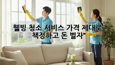 웰빙 청소 서비스 가격, 제대로 책정하고 돈 벌자!